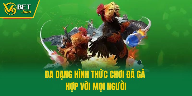 Đa dạng hình thức chơi đá gà hợp với mọi người