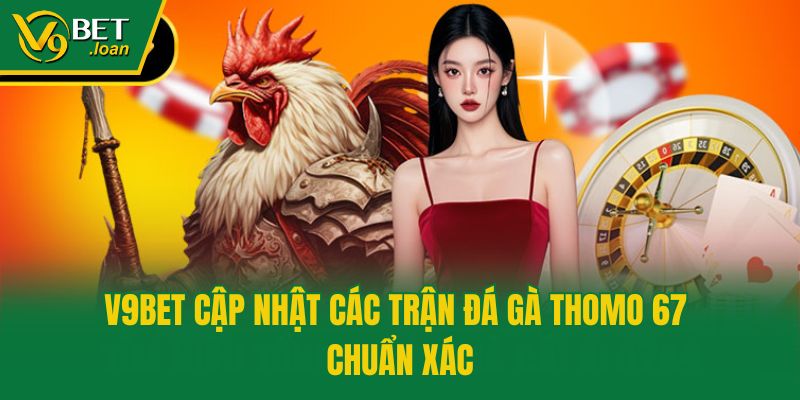 V9bet cập nhật các trận đá gà Thomo 67 chuẩn xác