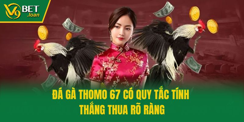 Đá gà Thomo 67 có quy tắc tính thắng thua rõ ràng